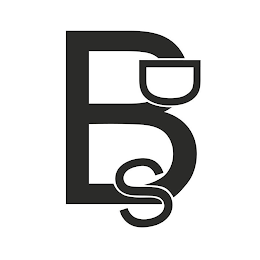 BDS logo