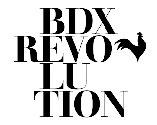 BDX REVOLUTION logo