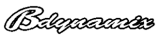 BDYNAMIX logo