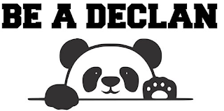 BE A DECLAN logo