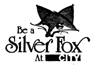 BE A SILVER FOX AT CITY logo