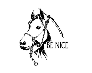 BE NICE logo