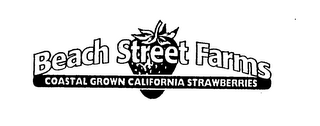 BEACH STREET FARMS COASTAL GROWN CALIFORNIA STRAWBERRIES logo