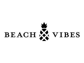 BEACH VIBES logo
