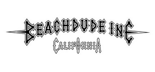 BEACHDUDE INC CALIFORNIA logo