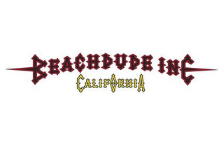 BEACHDUDE INC - CALIFORNIA logo