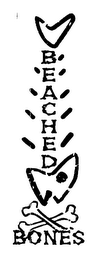BEACHED BONES logo