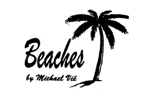 BEACHES BY MICHAEL VIE logo