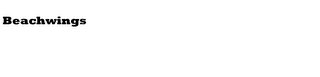 BEACHWINGS logo