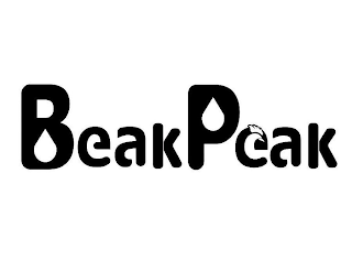 BEAKPEAK logo