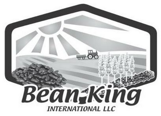 BEAN KING INTERNATIONAL LLC logo