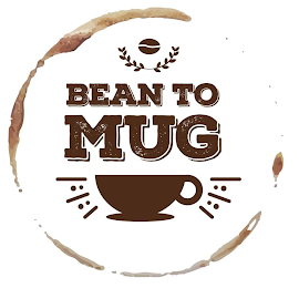BEAN TO MUG logo