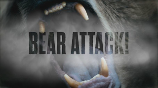 BEAR ATTACK! logo
