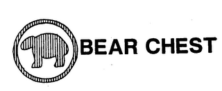 BEAR CHEST logo