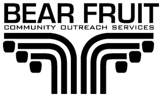 BEAR FRUIT COMMUNITY OUTREACH SERVICES logo