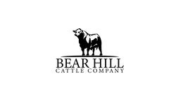 BEAR HILL CATTLE COMPANY logo