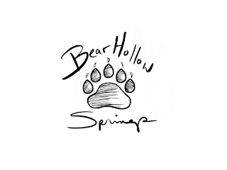 BEAR HOLLOW SPRINGS logo