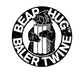 BEAR HUG (PLUS OTHER NOTATIONS) logo
