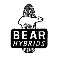 BEAR HYBRIDS logo