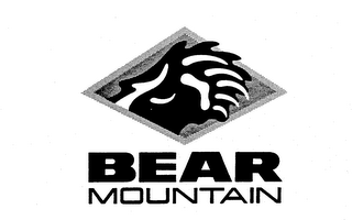 BEAR MOUNTAIN logo
