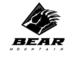 BEAR MOUNTAIN logo
