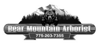 BEAR MOUNTAIN ARBORIST (775) 203-7355 logo