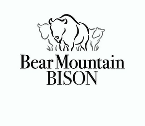 BEAR MOUNTAIN BISON logo