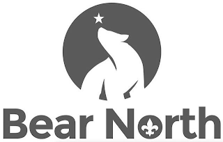 BEAR NORTH logo