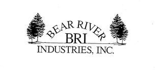 BEAR RIVER INDUSTRIES, INC. BRI logo