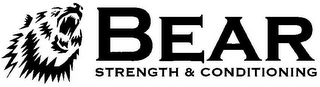 BEAR STRENGTH & CONDITIONING logo