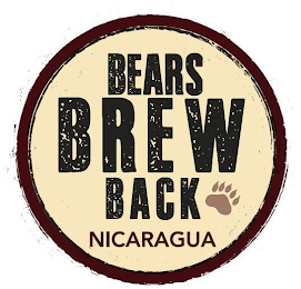 BEARS BREW BACK NICARAGUA logo
