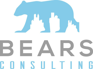 BEARS CONSULTING logo