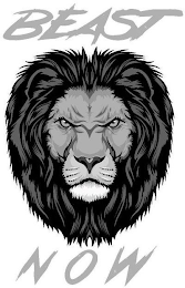 BEAST N O W logo