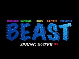 BEAST SPRING WATER 100 ENERGY FOCUS MUSCLE RECOVERY BETTER SLEEP IMMUNE HEALTH INCREASES IMPROVES HELPS SUPPORTS PROMOTES logo