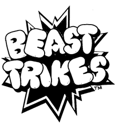 BEAST TRIKES logo