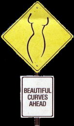BEAUTIFUL CURVES AHEAD logo