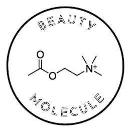 BEAUTY MOLECULE logo