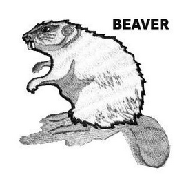 BEAVER logo