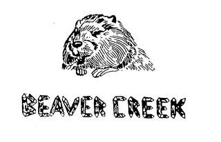 BEAVER CREEK logo