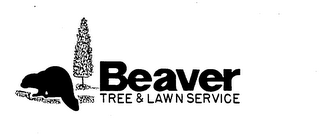 BEAVER TREE & LAWN SERVICE logo