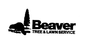 BEAVER TREE & LAWN SERVICE logo