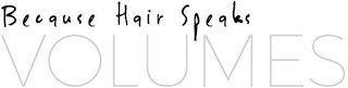 BECAUSE HAIR SPEAKS VOLUMES logo