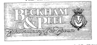 BECKHAM & PEEL EXTRAORDINARY ICE CREAM logo