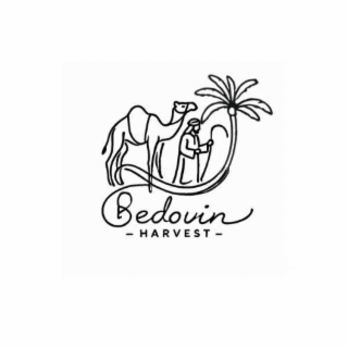 BEDOUIN HARVEST logo