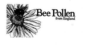 BEE POLLEN FROM ENGLAND logo