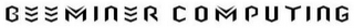 BEEMINER COMPUTING logo
