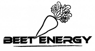 BEET ENERGY logo