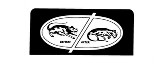 BEFORE AFTER logo