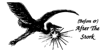 BEFORE & AFTER THE STORK logo