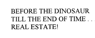 BEFORE THE DINOSAUR TILL THE END OF TIME...  REAL ESTATE! logo